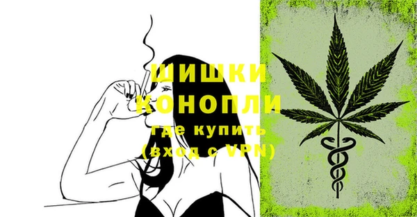 бошки Гусев