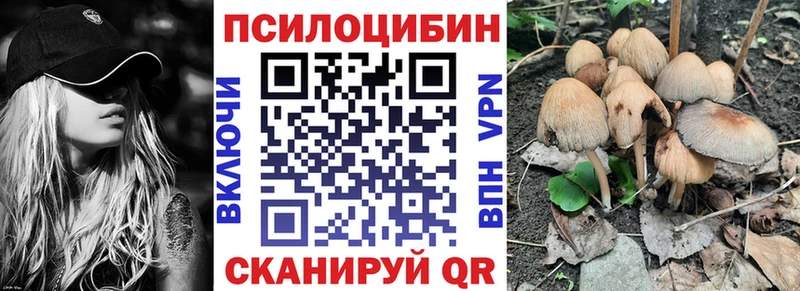 Купить  Кизилюрт  Псилоцибиновые грибы мицелий 
